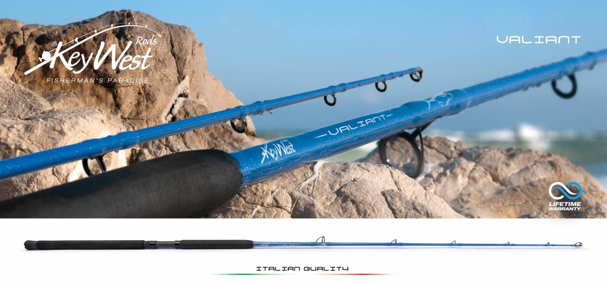 Amazoon Valiant.jpg